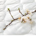 Матрац Primavera Avanti